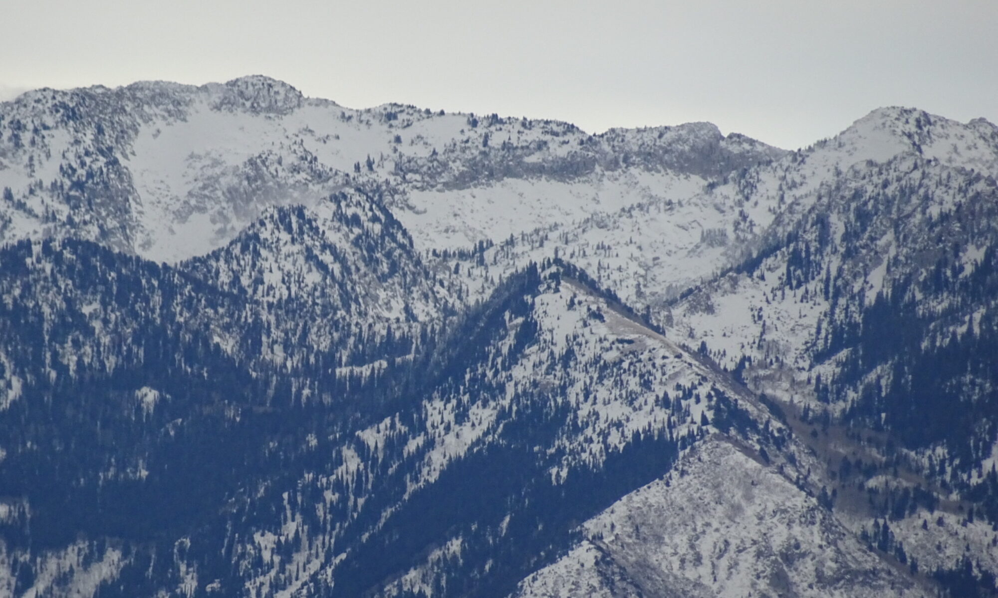 A snowy mountain.